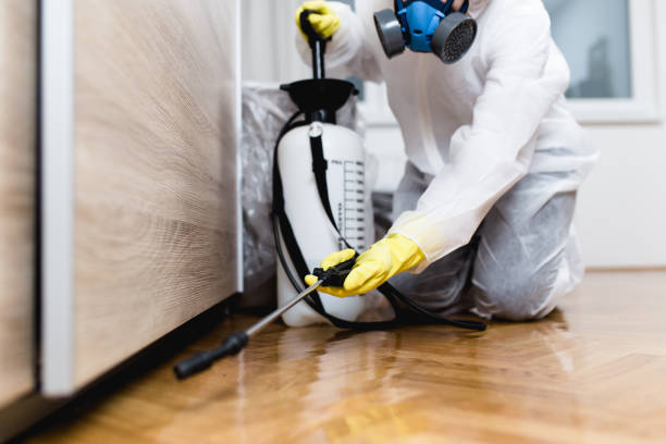 Best Local Pest Control Services  in Jamestown West, NY