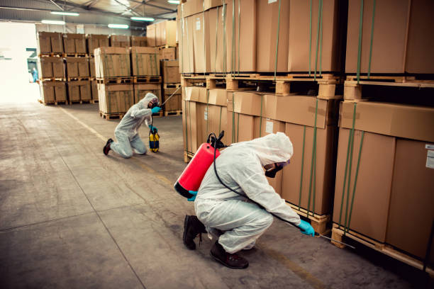 Pest Prevention Services in Jamestown West, NY