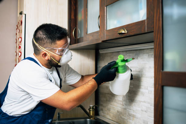 Best Rat Extermination Near Me  in Jamestown West, NY