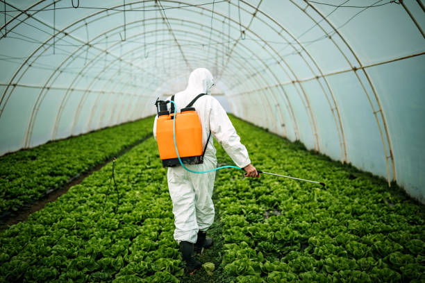 Best Pest Control Near Me  in Jamestown West, NY