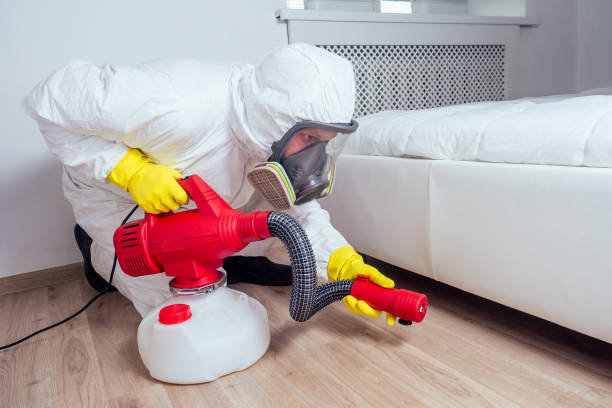 Best Bed Bug Extermination  in Jamestown West, NY