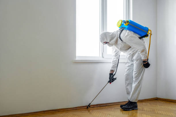 Trusted Jamestown West, NY Pest Control Experts