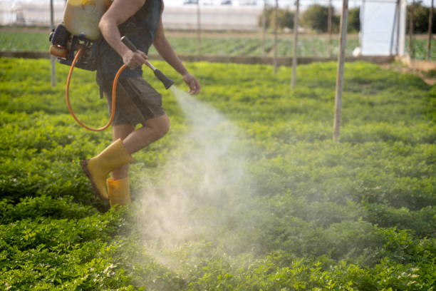 Best Mosquito Control Services  in Jamestown West, NY