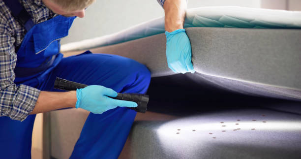 Best Pest Inspection Near Me  in Jamestown West, NY