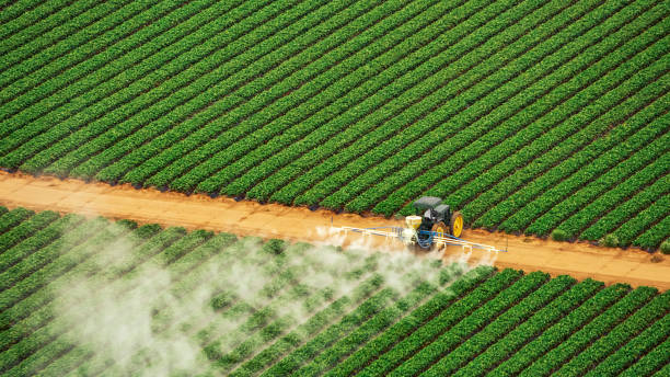 Best Pest Control for Businesses  in Jamestown West, NY