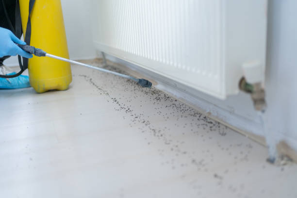 Best Cockroach Control Services  in Jamestown West, NY