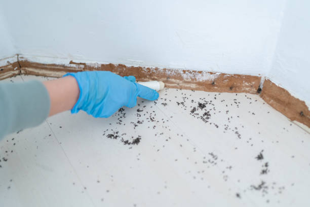 Best Wildlife Control Services  in Jamestown West, NY