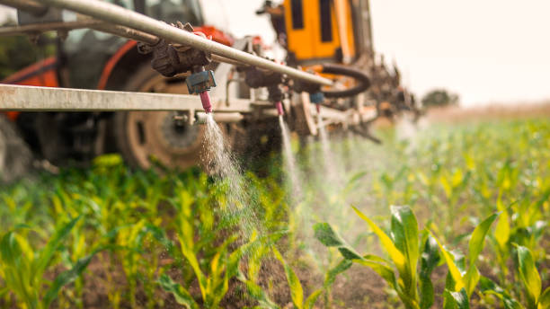Best Best Pest Control Companies  in Jamestown West, NY